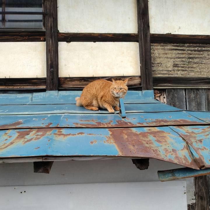 C6e820ae d03b 4043 bc19 e03dbc420a95 1674025737011