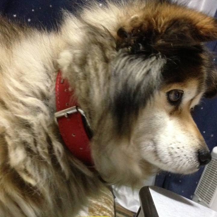 C6e82ccf 21d4 4f09 b2e7 f9d92adc3717 1603266077408