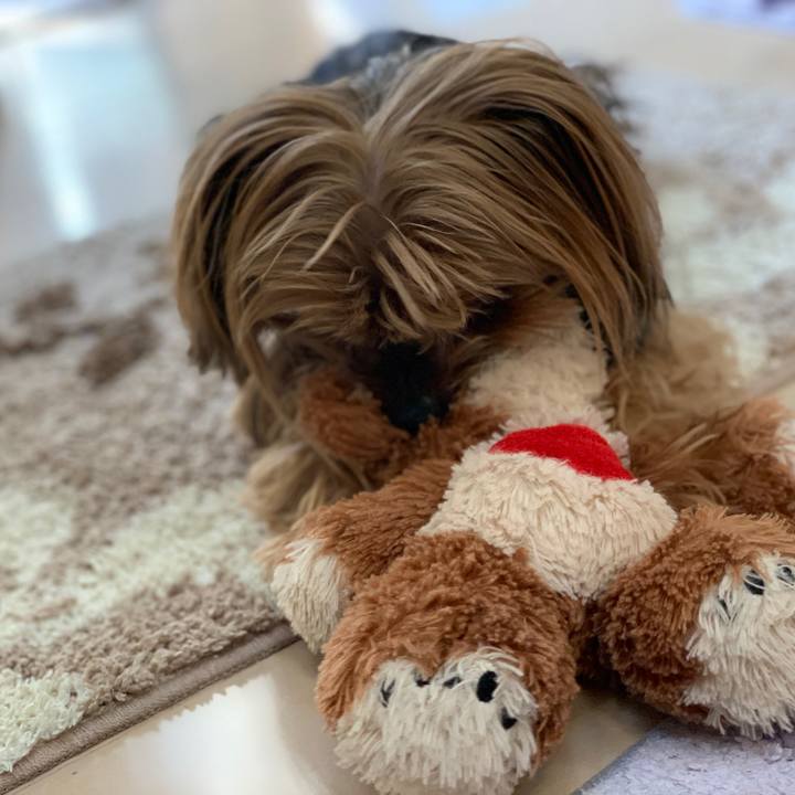 C6e837ab 3288 42c8 8f3b 33b093881d2c 1547534842583