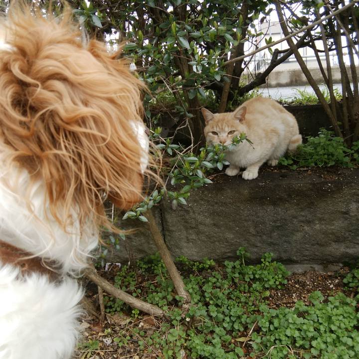 C6e8970d a5eb 4274 bf96 ea4074ba876f 1552977964802