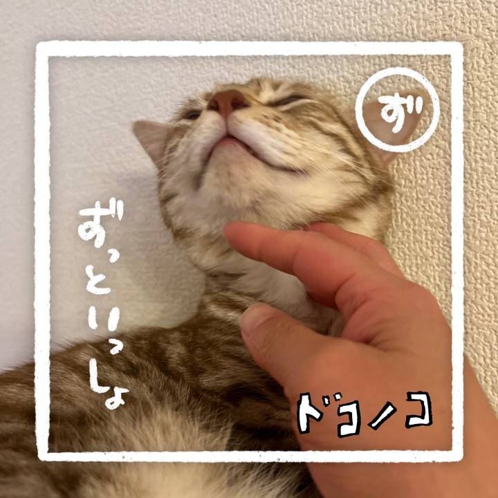 C6e8c596 aafe 43e3 950d 1225248b9416 1685969691640