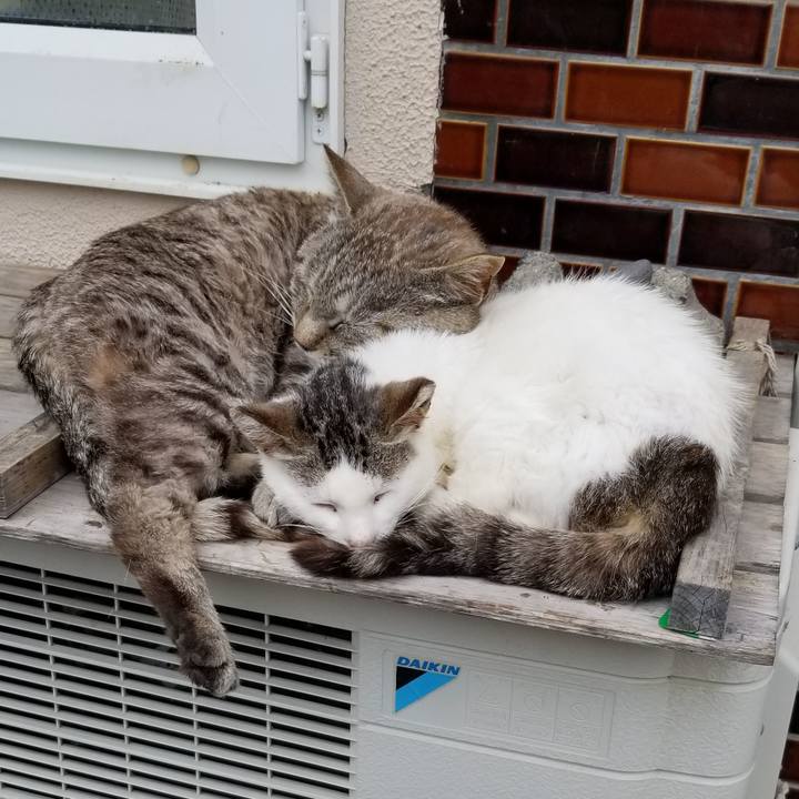 C6e8d665 ee77 40c1 9420 ca378e048ff9 1688471289573