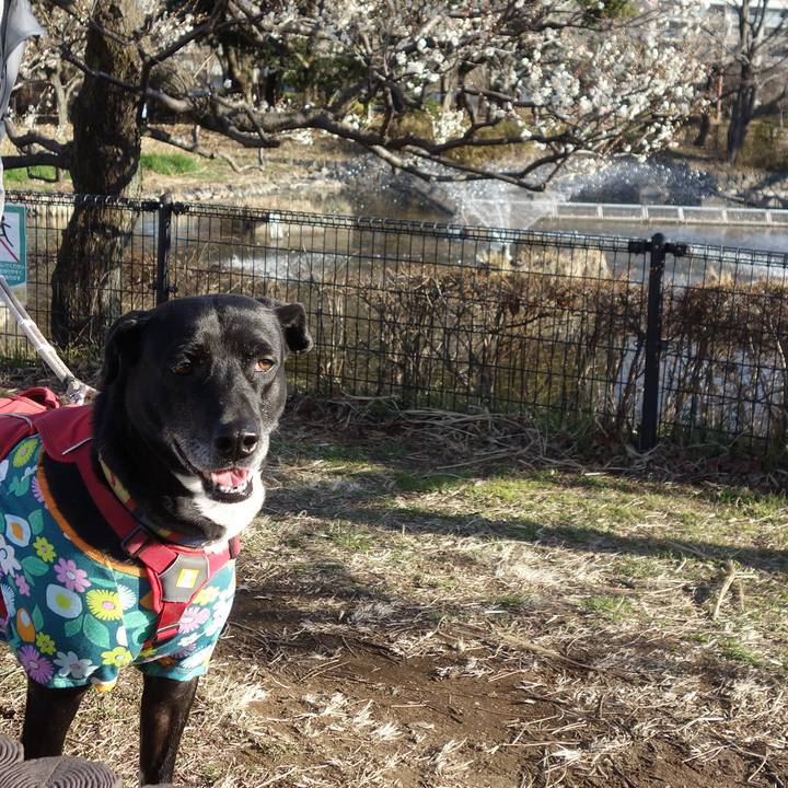 C6e8f45b 47d4 474d b570 540fc5e7e425 1677462734608