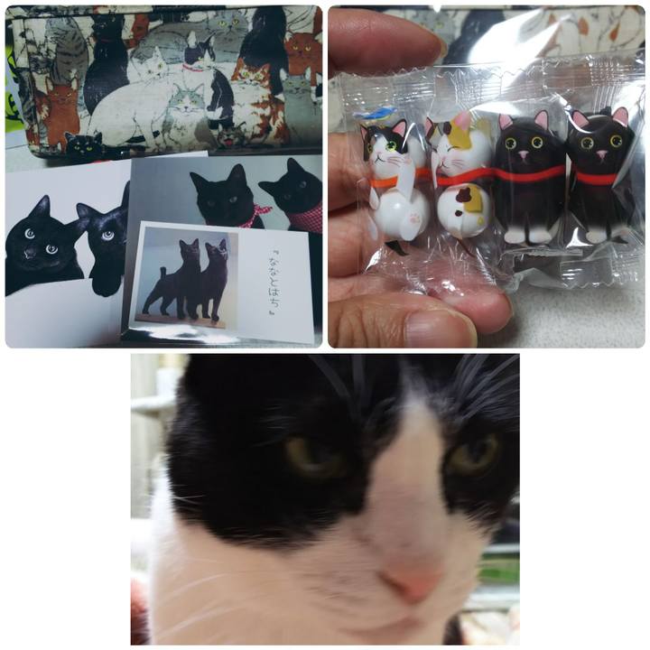 C6e93ef1 4689 41b9 8dfe 7c0e205252cb 1574332804464