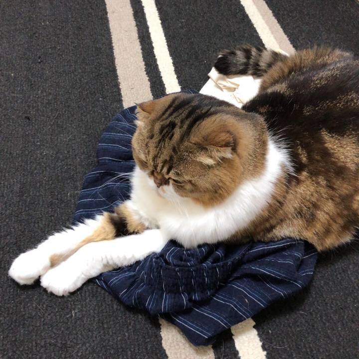 C6e93f24 512a 4a1b a92d 92fe6f6d1211 1537446132044