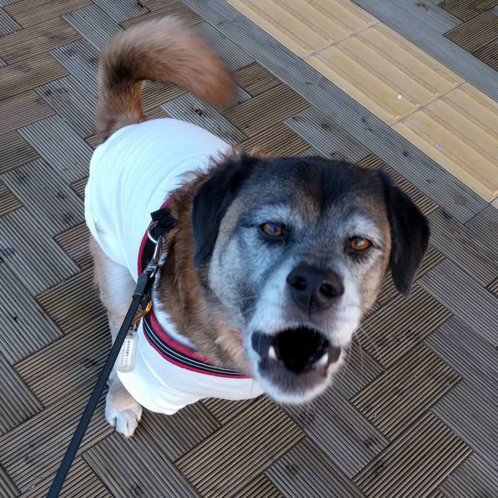 C6e94435 1b87 4019 b6d7 5189b76b134b 1704242769444