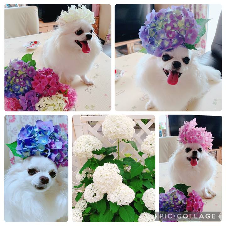 C6e954c3 e9ff 4494 aead b236d04c9cd9 1750637154004