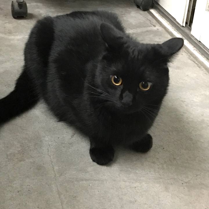 C6e95bf3 36d8 4226 9432 c8d3690cc8a6 1532779925602