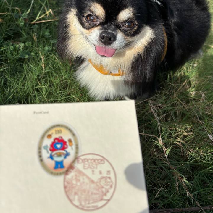 C6e969ef 2e20 40a3 bb94 5515d3ed1db3 1759127331475