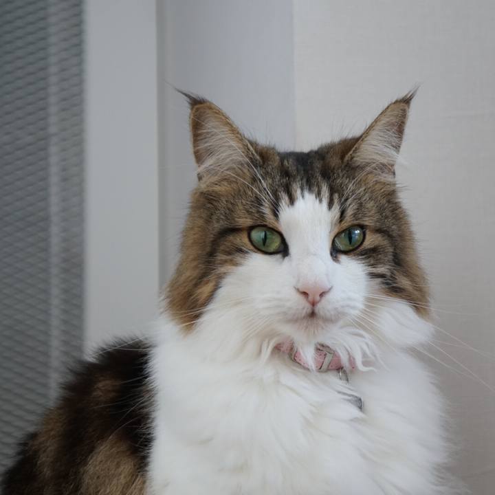 C6e9871f 8390 4a9e 9f29 d300c95aeb28 1542600753311