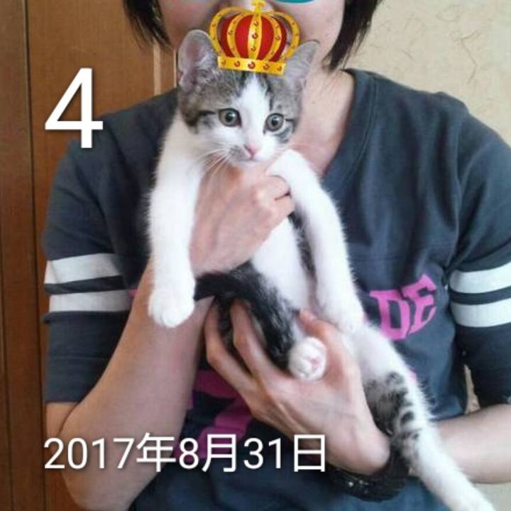 C6e9d2e8 92a0 4c3e 81aa 88f040d81685 1756970294750
