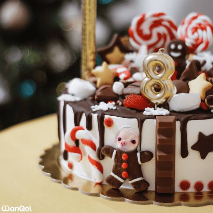 C6ea049e 485b 4cef 8854 d2ea14896dd1 1640680564361