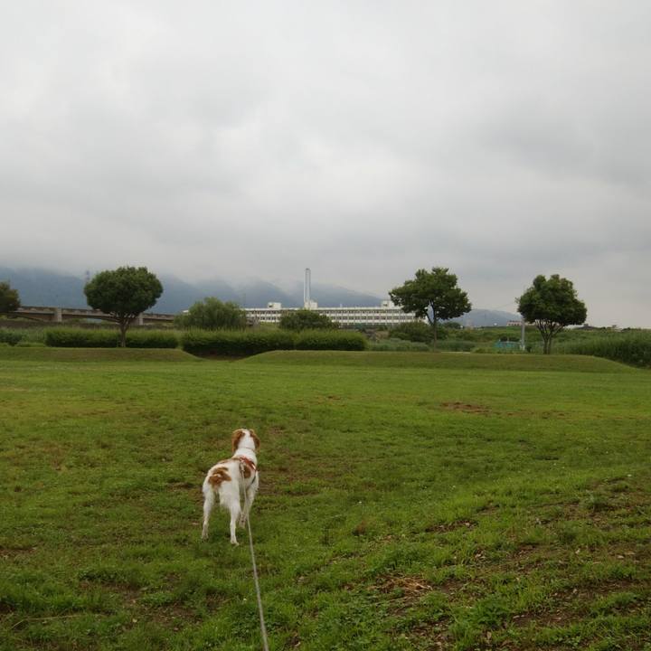 C6ea40af e4a8 4685 bfd5 3688f0c2de73 1529397567191