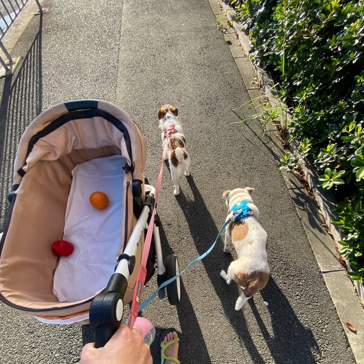 C6ea468d fdf0 4a2f 92dc 978aebebeecc 1727059477801