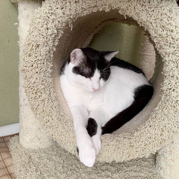 C6ea4bbf 12af 4382 b391 286bfc672852 1540348202865