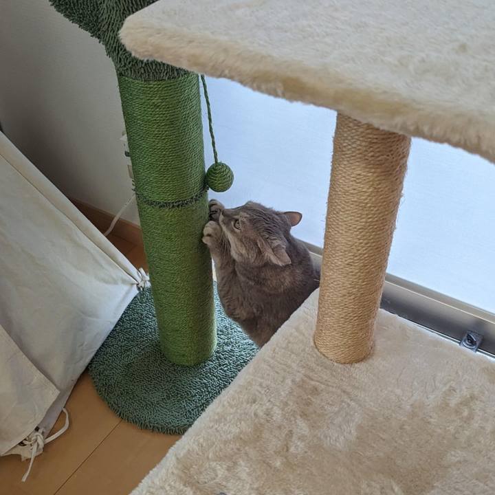 C6ea68e1 b7a8 4912 9933 aa9fbf449dda 1698208748547