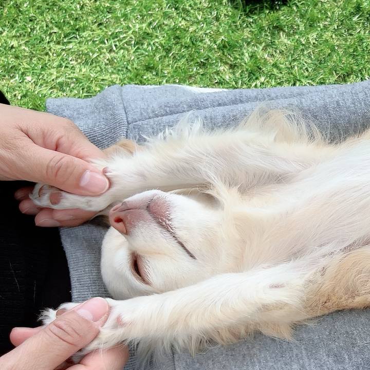 C6ea7c3b d6d4 41e0 94a6 cdff77974d42 1710669341403