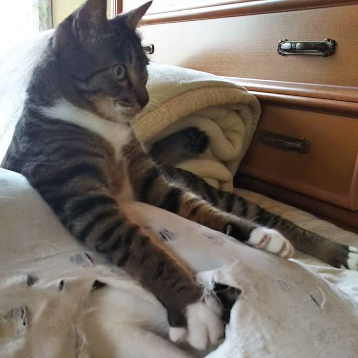 C6ea7d1c 00c7 42e3 ad29 758bb2932a81 1602320291338