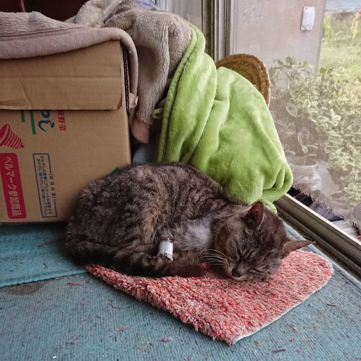 C6ea8063 6643 429b 9e24 6d0de8c47ef9 1598041268138