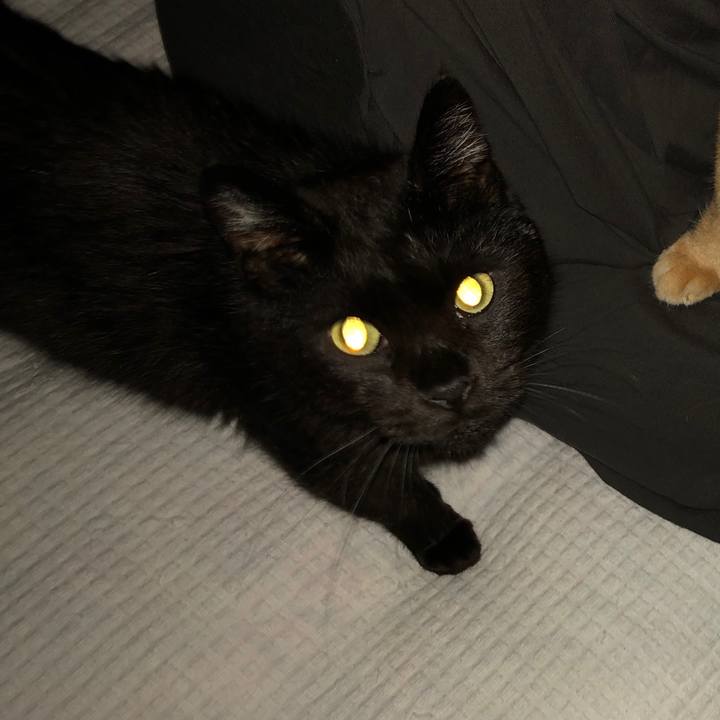 C6eaa36c 1233 4fe1 b189 4c0aa4a13d13 1599213936469