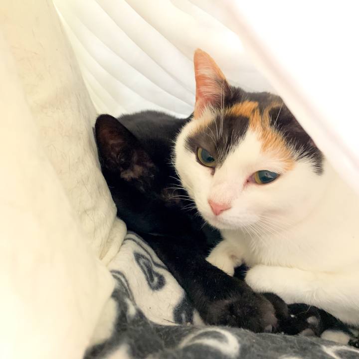 C6eac162 5609 4d5b b803 344d62ed73f6 1547170440236