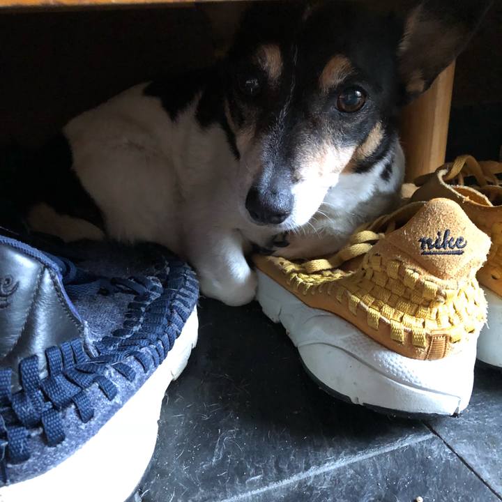 C6eacabc 7600 4482 a653 b2b22b7396f0 1536540883180