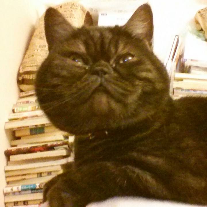 C6ead0bd 6077 4d02 97b9 82fb27f611cb 1516800185595