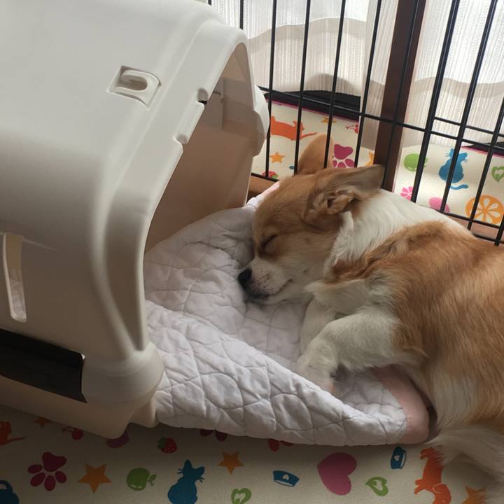 C6ead4d6 b08f 4113 b08e e9fa8f76e484 1560831895165