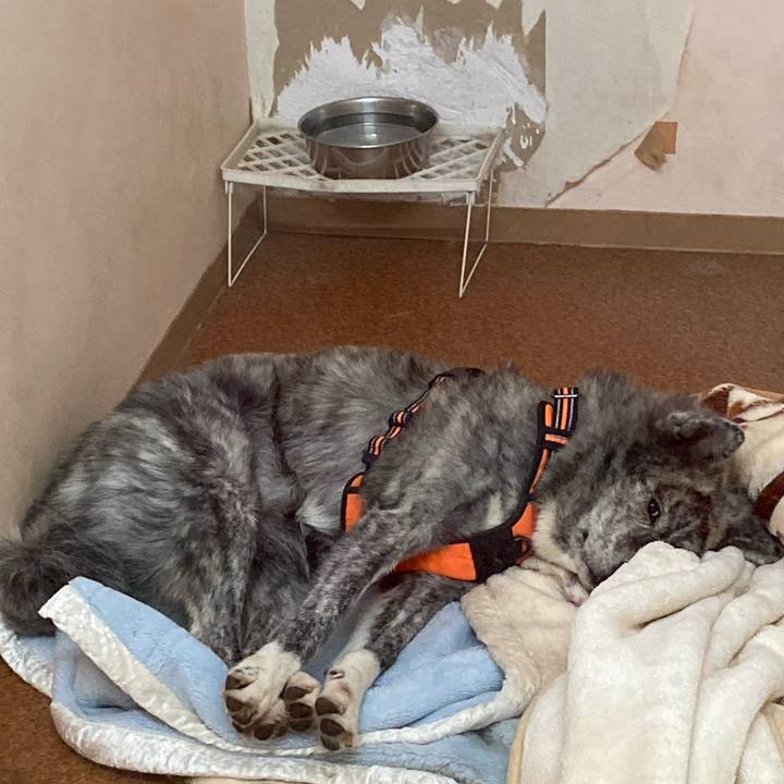 C6eadb98 3f25 4fb9 b1f0 24e04b44b2d1 1703316680464