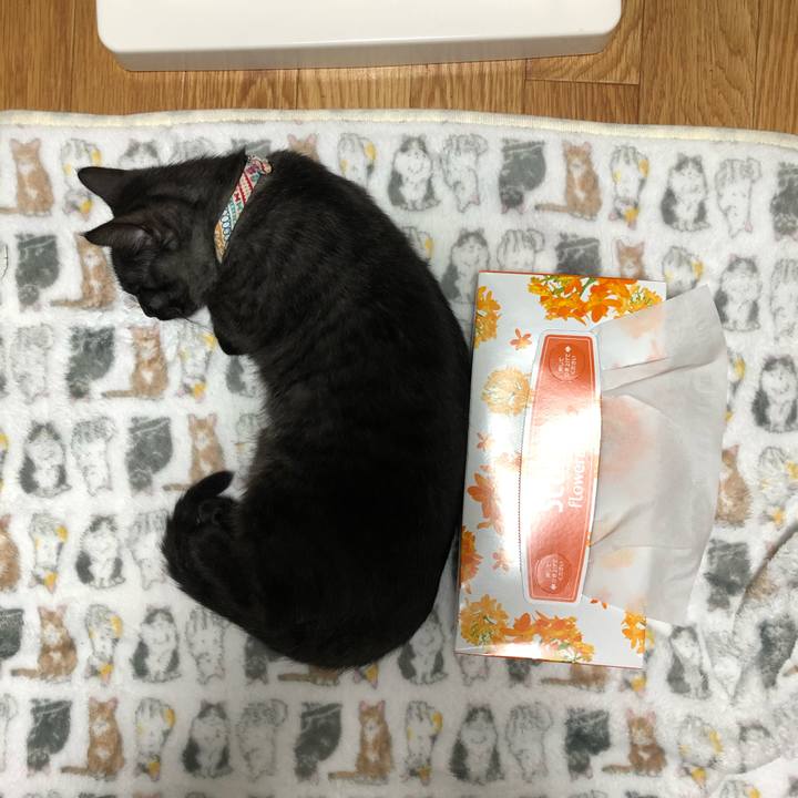 C6eb0566 936e 4193 ac66 c6954e90ff09 1611800930846