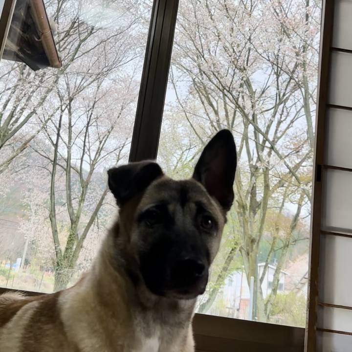 C6eb0b11 4a51 40e4 a361 433eb77f198b 1712570011360