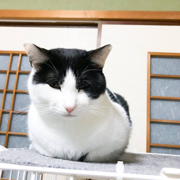 C6eb12e7 f9b2 4248 8978 d2f2132f8514 1513470822845