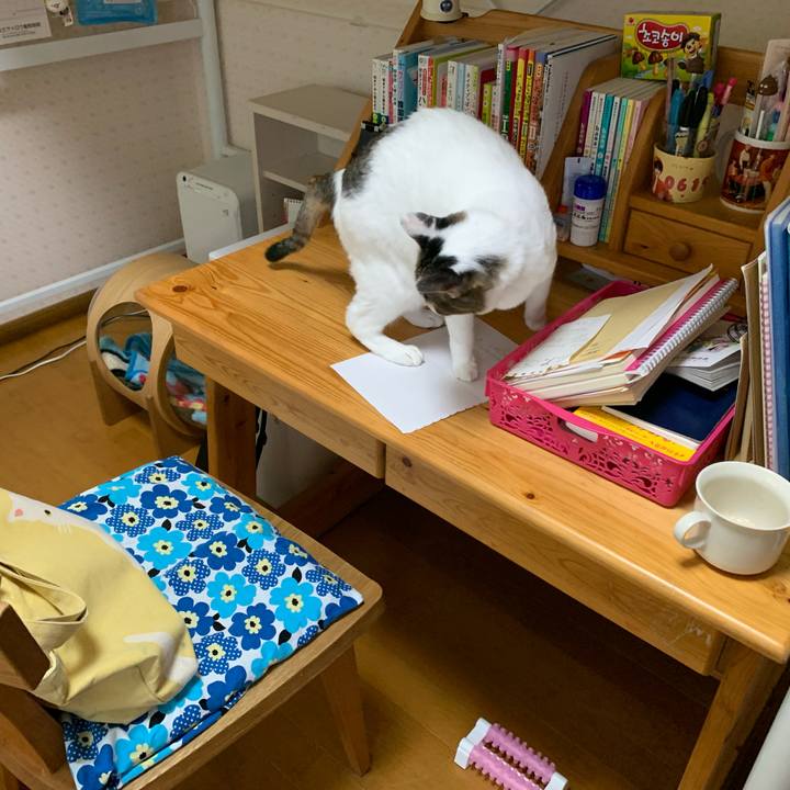 C6eb4a15 1d9b 4d20 9937 e7f58efbe78c 1633642783675