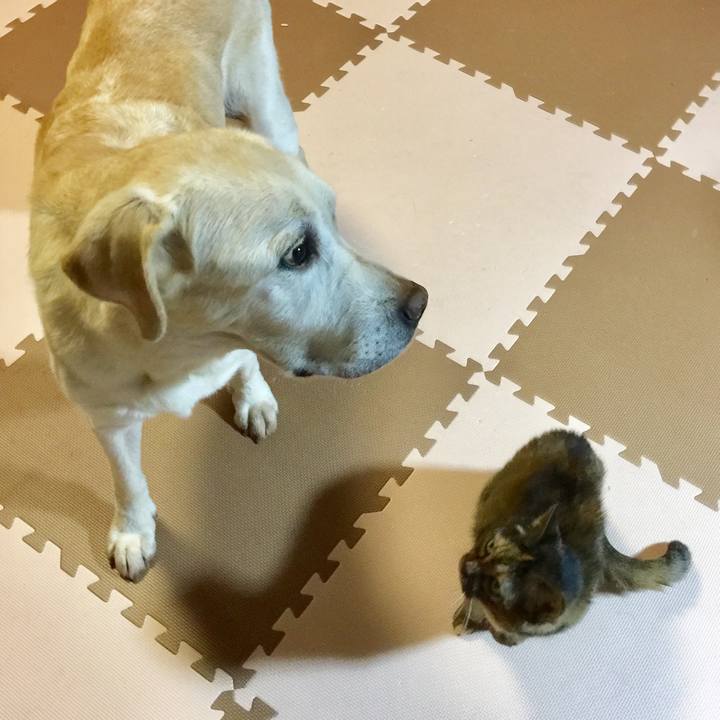 C6eb64f2 80a7 4b06 8e0c 82cb6cb2b68a 1660355144476