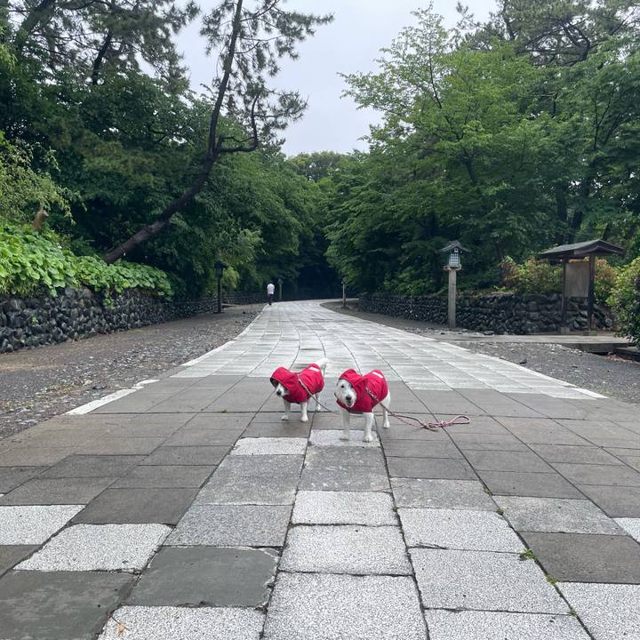 C6eb6993 4b74 4483 aa10 efa85d0f6b62 1749946743231