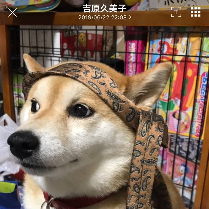 C6eb6ce2 ceac 4814 9244 c8d925186c33 1561213741361