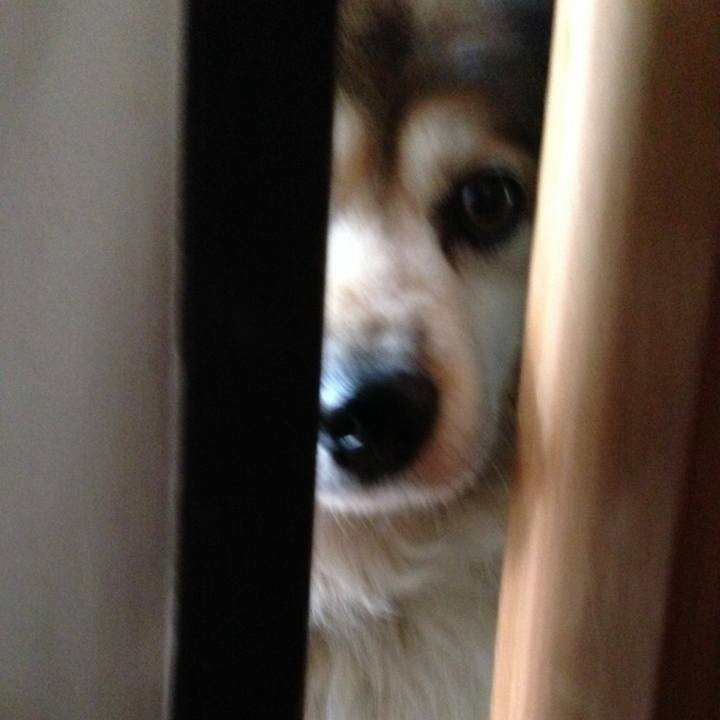 C6eb784c 37ca 4565 b723 14dc7cbe7d34 1633111977165