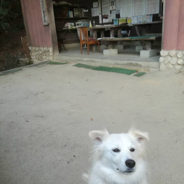 C6ebee8a 19a3 41bc 85ed 69832bcad90f 1513843584701