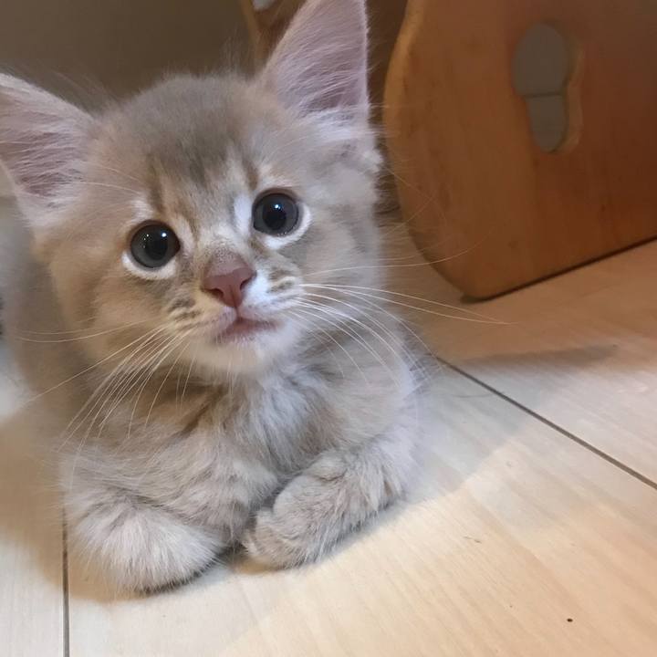 C6ec390a c3bd 4072 abe3 3c1c8b475fd4 1537796428382