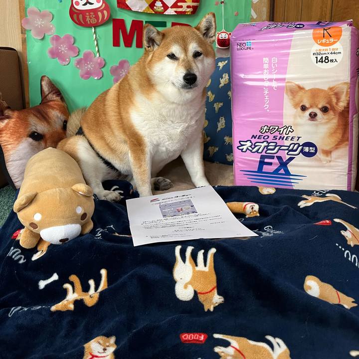 C6ec4c13 f6a9 4829 bc39 a4e463ab757b 1648519525577