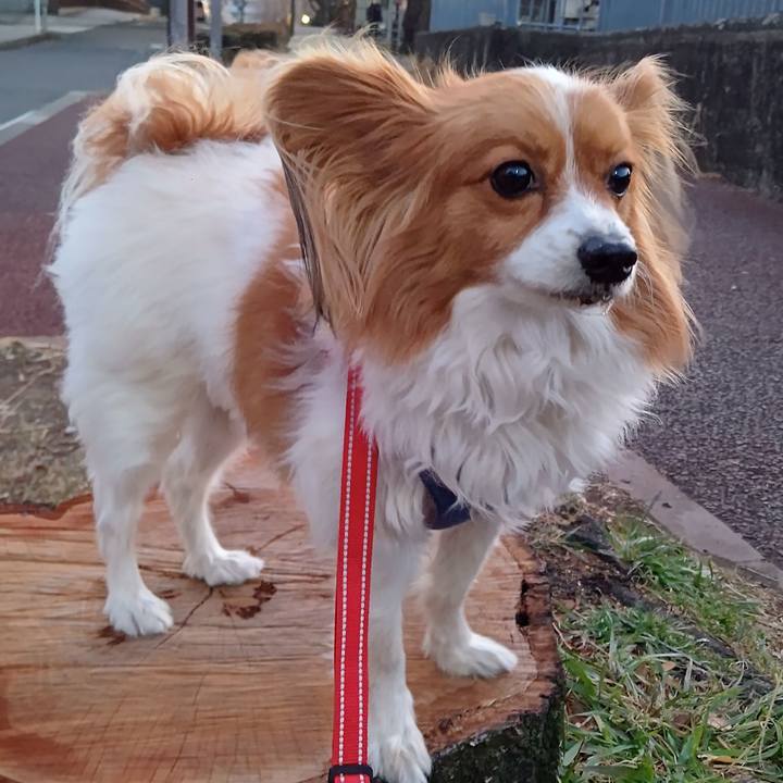 C6ec5218 0180 440c 8c1f f907c0a40d94 1771915378302