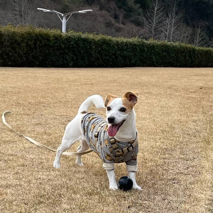 C6ec5338 6f95 46e0 ab10 3055719b3310 1613124911831