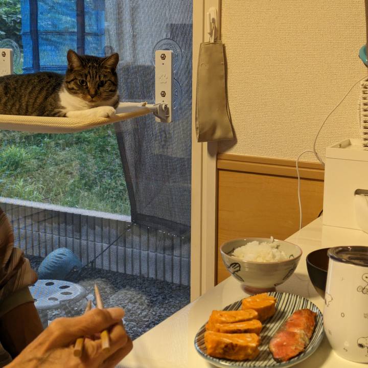 C6ec5a81 be0c 49c2 ac64 8655aadd9cd2 1696028559256