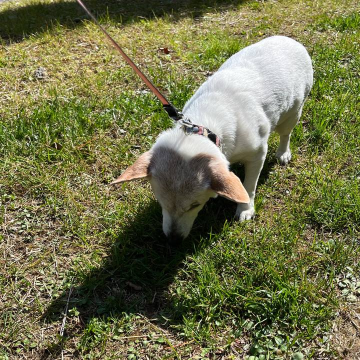 C6ec5a8a 8657 4503 82a4 2c8afb164ea8 1678960847430