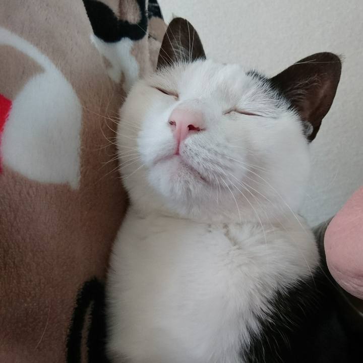 C6ec628c 3e5a 405c b7e1 0c2f34e10407 1520690245562