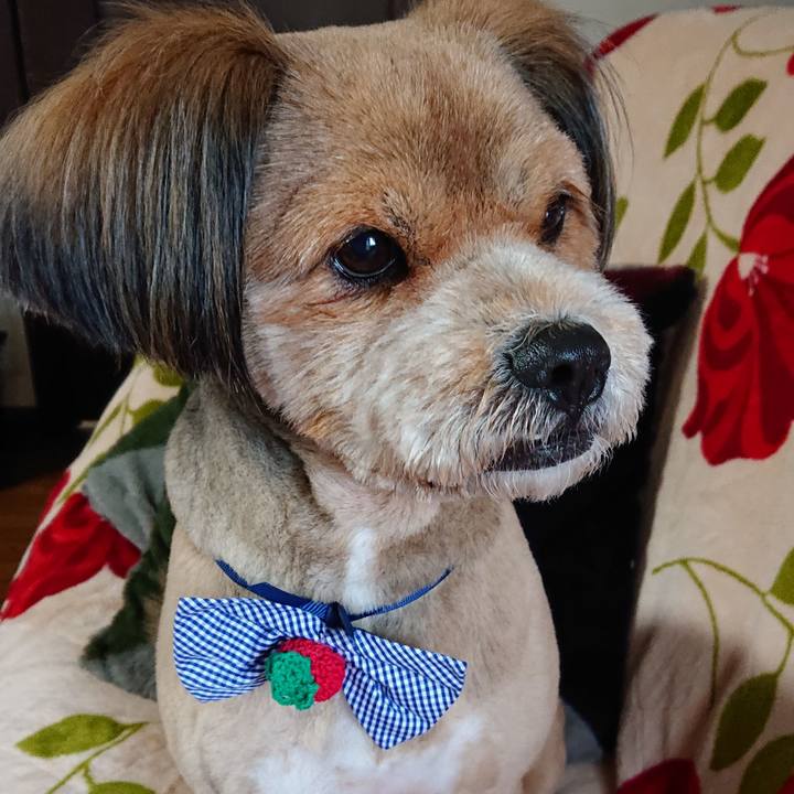 C6ec6b38 8f2f 4842 9a92 de58db03759a 1549518465568