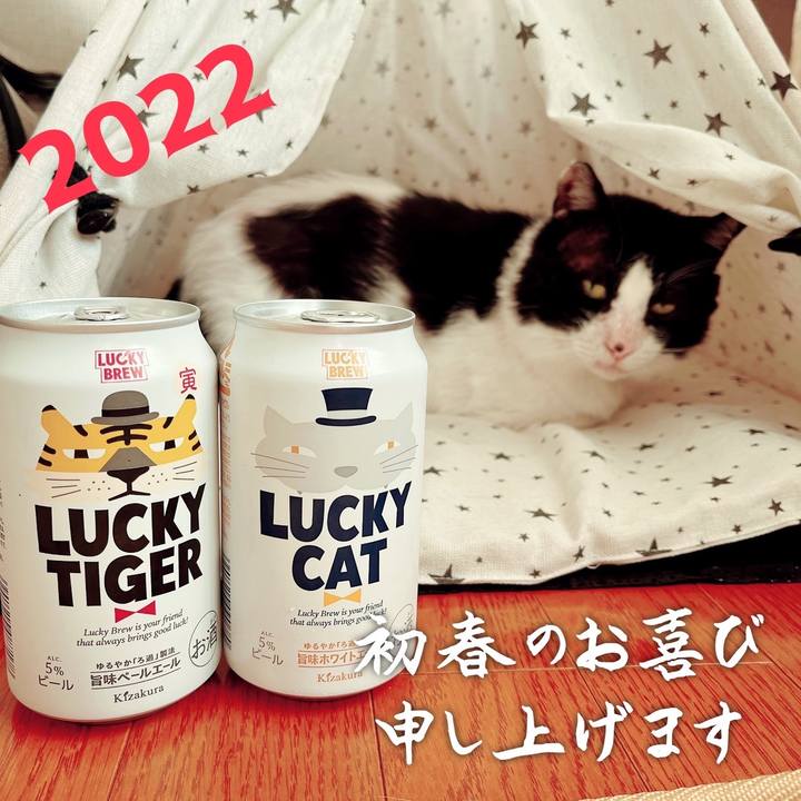 C6ec80ab cfc8 4837 a3fe d5e457b54f0d 1641003152011