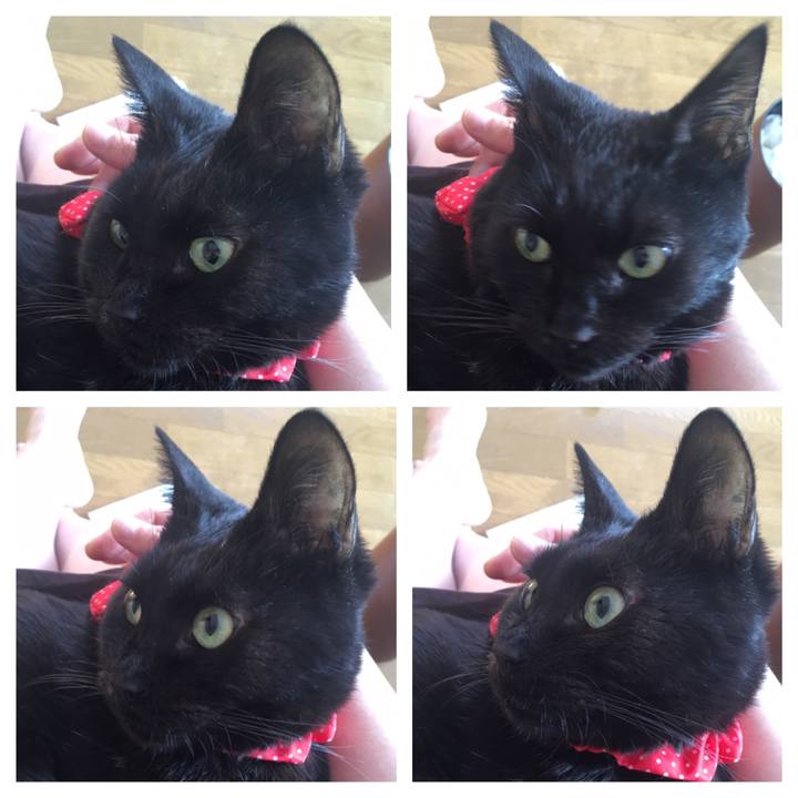 C6ec930c 3f37 4a1b b491 ce4f8f4ea07c 1552217177158