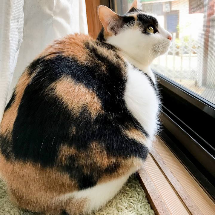 C6ecb457 266c 4c82 834a bc252f3d781b 1517030467056