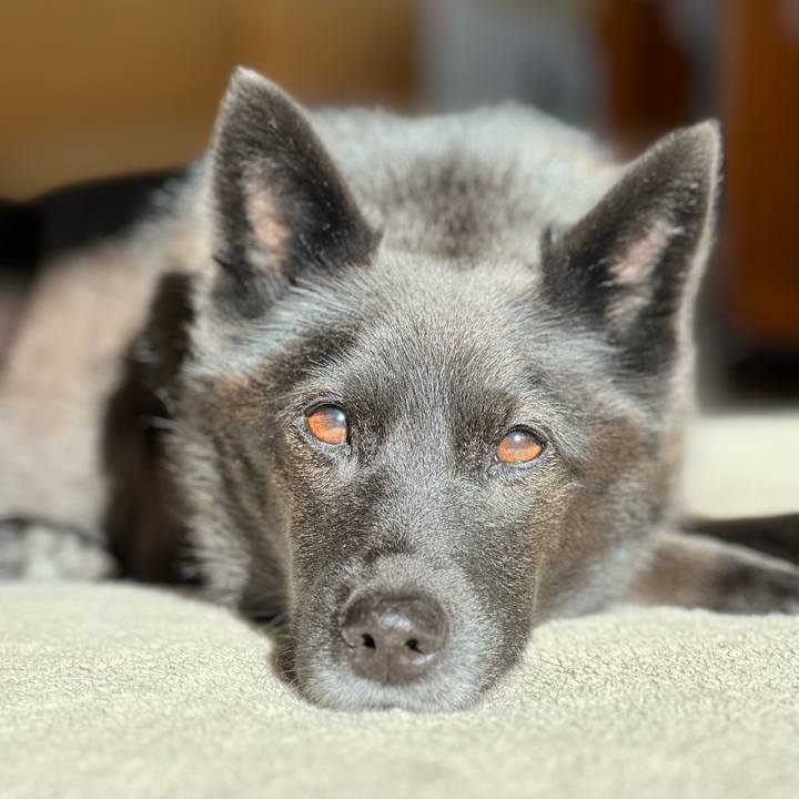 C6ece191 fabb 4a36 9d26 4f1da7f52b57 1758759365576